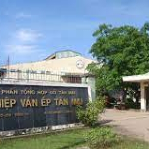 CÔNG TY GỖ TÂN THÀNH