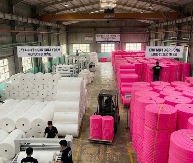 Nhà Cung Cấp EPE Định Hình Uy Tín, Gia Công Theo Yêu Cầu Giá Tận Xưởng
