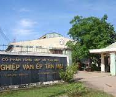 CÔNG TY GỖ TÂN THÀNH