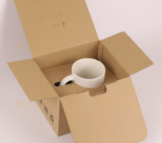 carton định hình