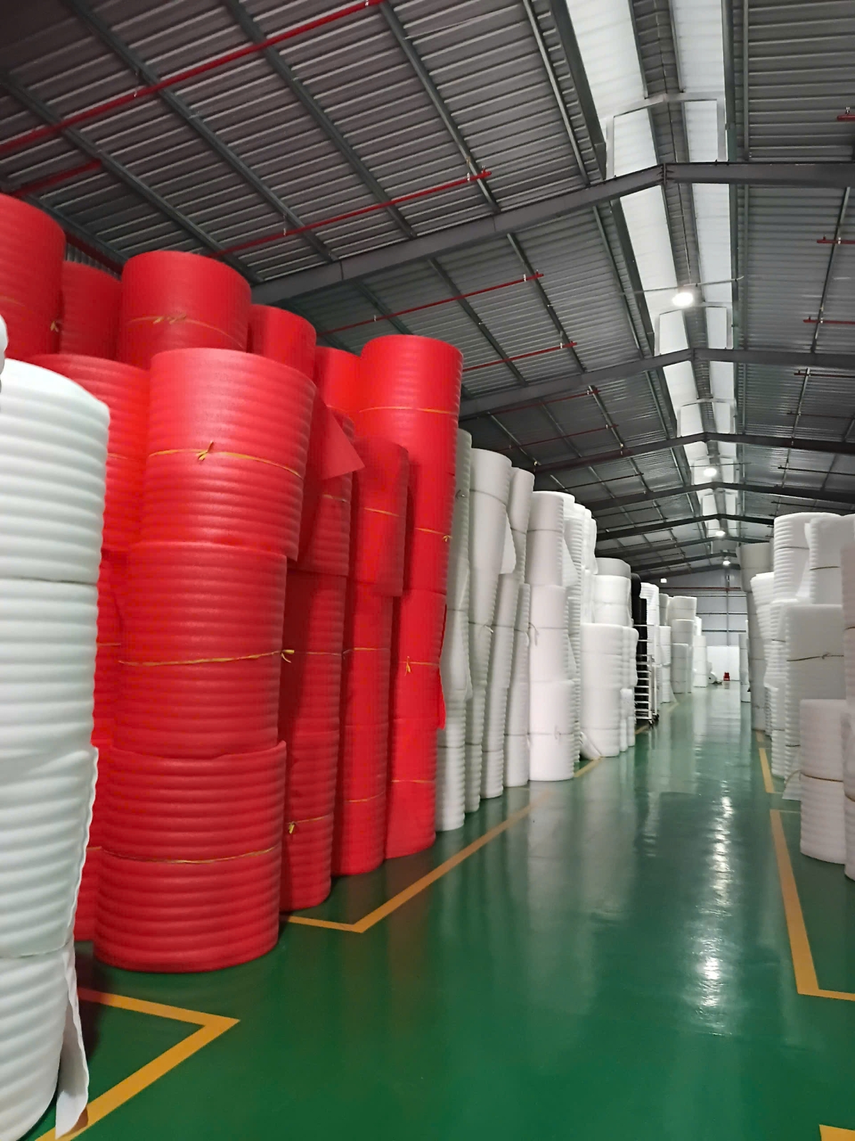 PE Foam dạng cuộn